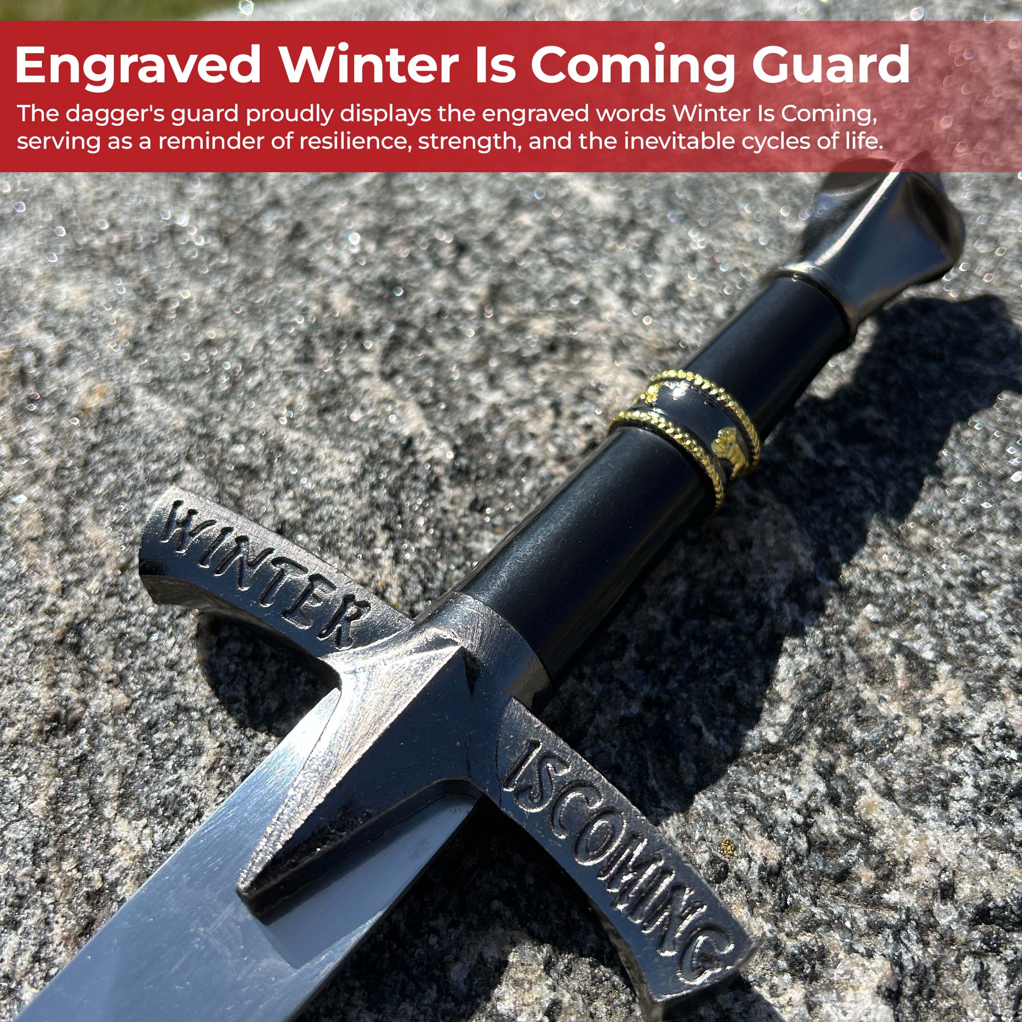 Shadow Embrace Winter Is Coming Engraved Black Dagger with Metal Fittings Dagger - Tophatter Daily Deals