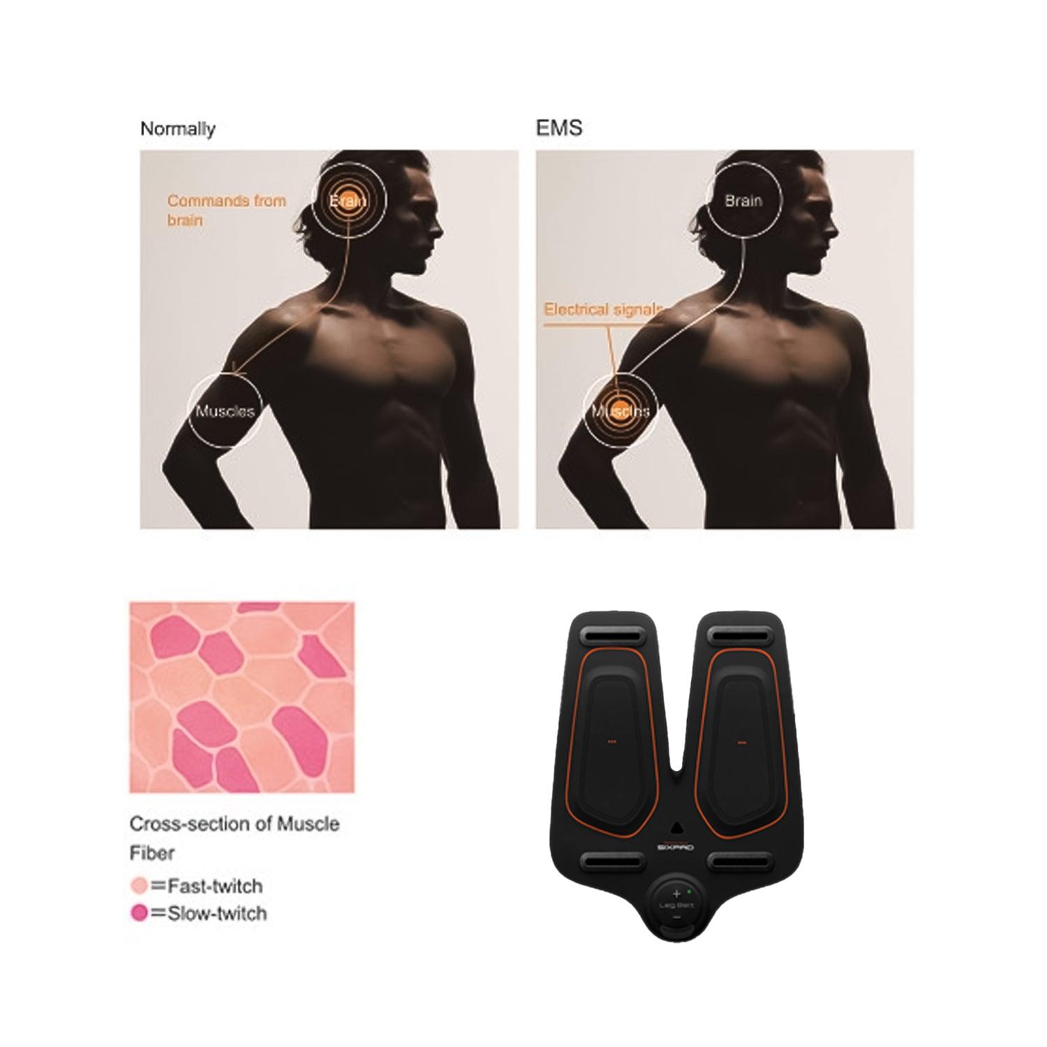 Electric Muscle Stimulator - Sixpad Training Gear Leg Belt Unisex Ems Muscle Stimulator Training Fitnesses Exercise & Fitness Equipment Manuals - Tophatter Daily Deals