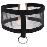 Sex and Mischief Sheer Day Collar for Sensual Sophistication > Bondage Gear > Collars & Leashes - Tophatter Daily Deals