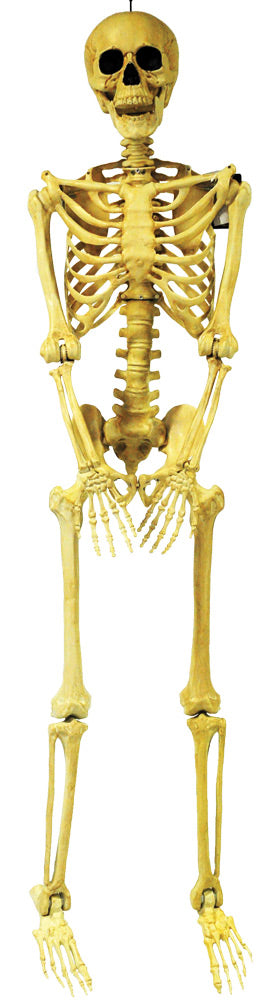 5' Skeleton Pose & Hold Halloween Skeleton Decorations - Tophatter Daily Deals