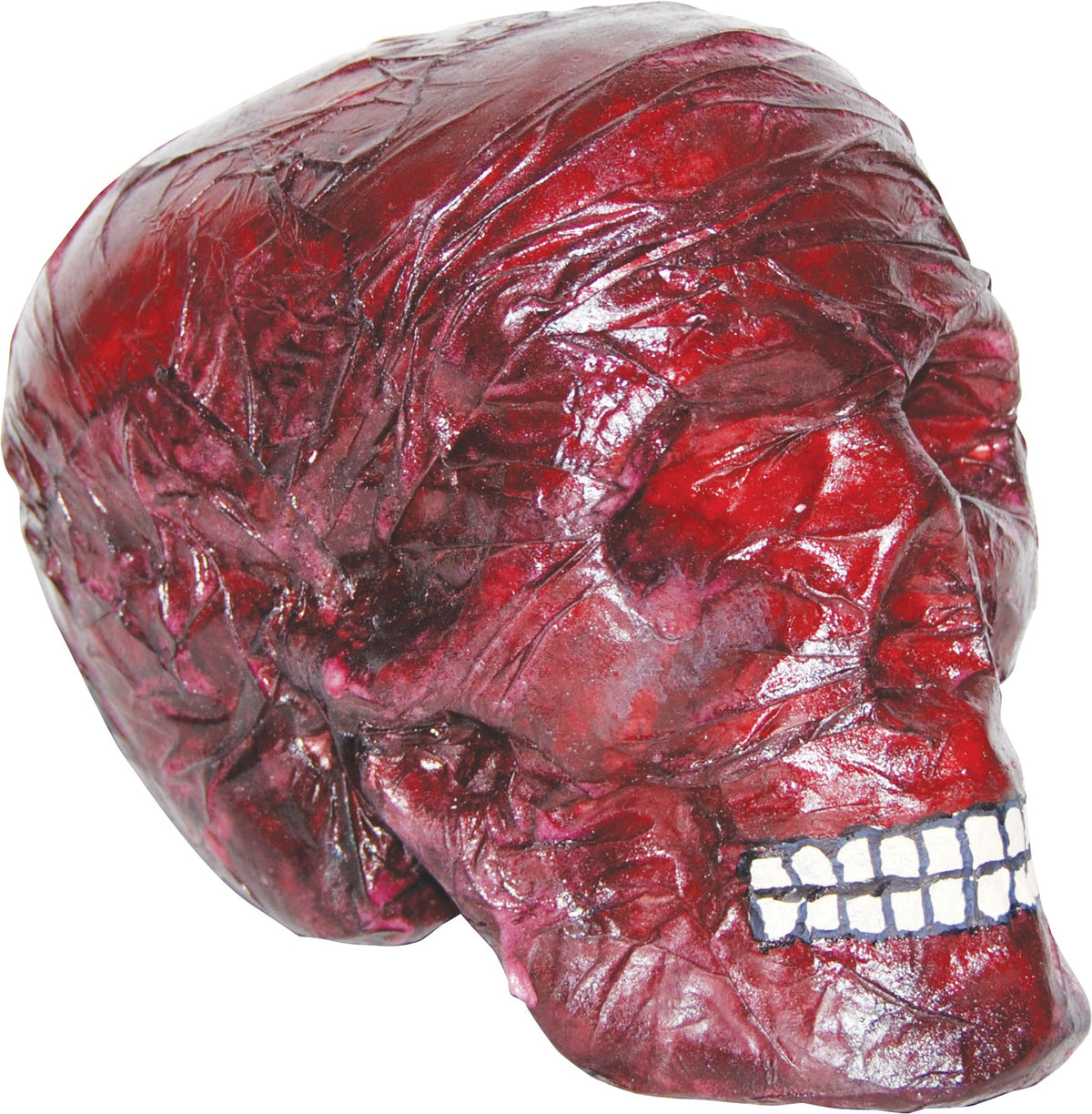 8" Burnt Skull Halloween Skeleton Decorations - Tophatter Daily Deals