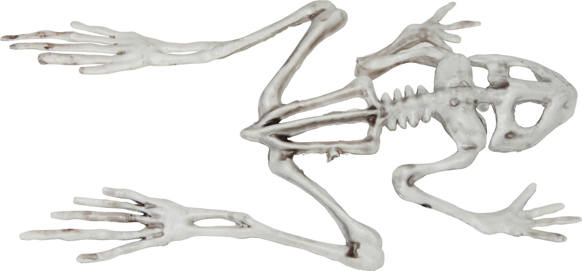8" Frog Skeleton Halloween Skeleton Decorations - Tophatter Daily Deals