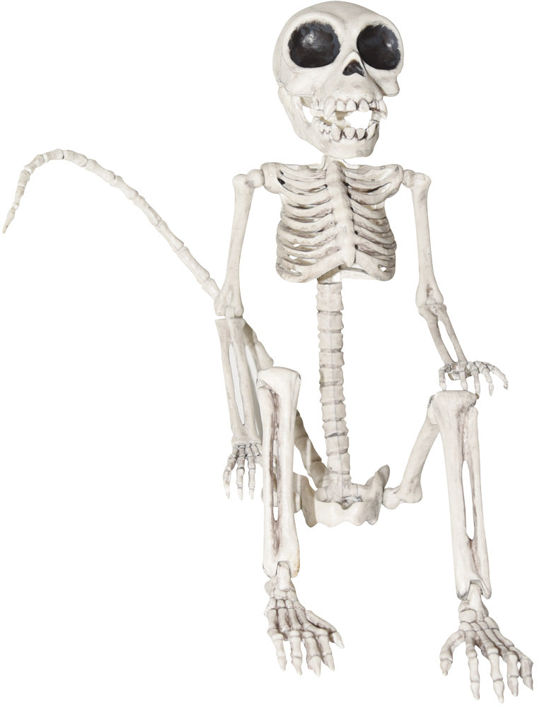 Monkey Skeleton Halloween Skeleton Decorations - Tophatter Daily Deals