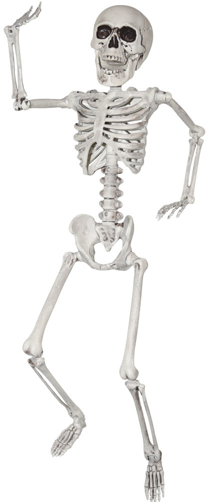 24" Skeleton Halloween Skeleton Decorations - Tophatter Daily Deals