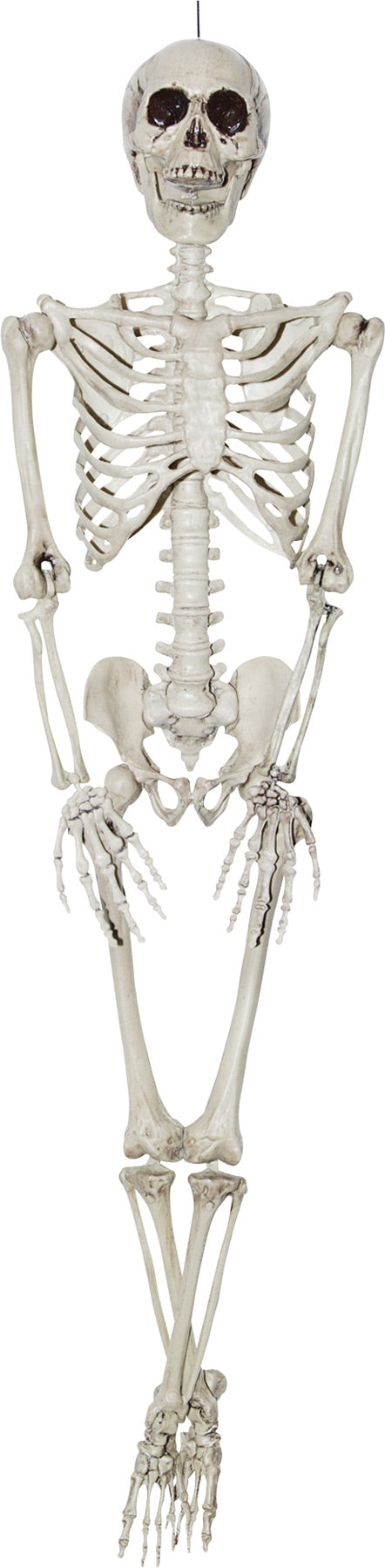 36" Skeleton Halloween Skeleton Decorations - Tophatter Daily Deals