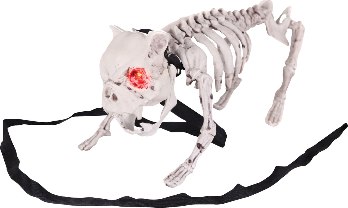 18" Barking Dog Skeleton Halloween Skeleton Decorations - Tophatter Daily Deals