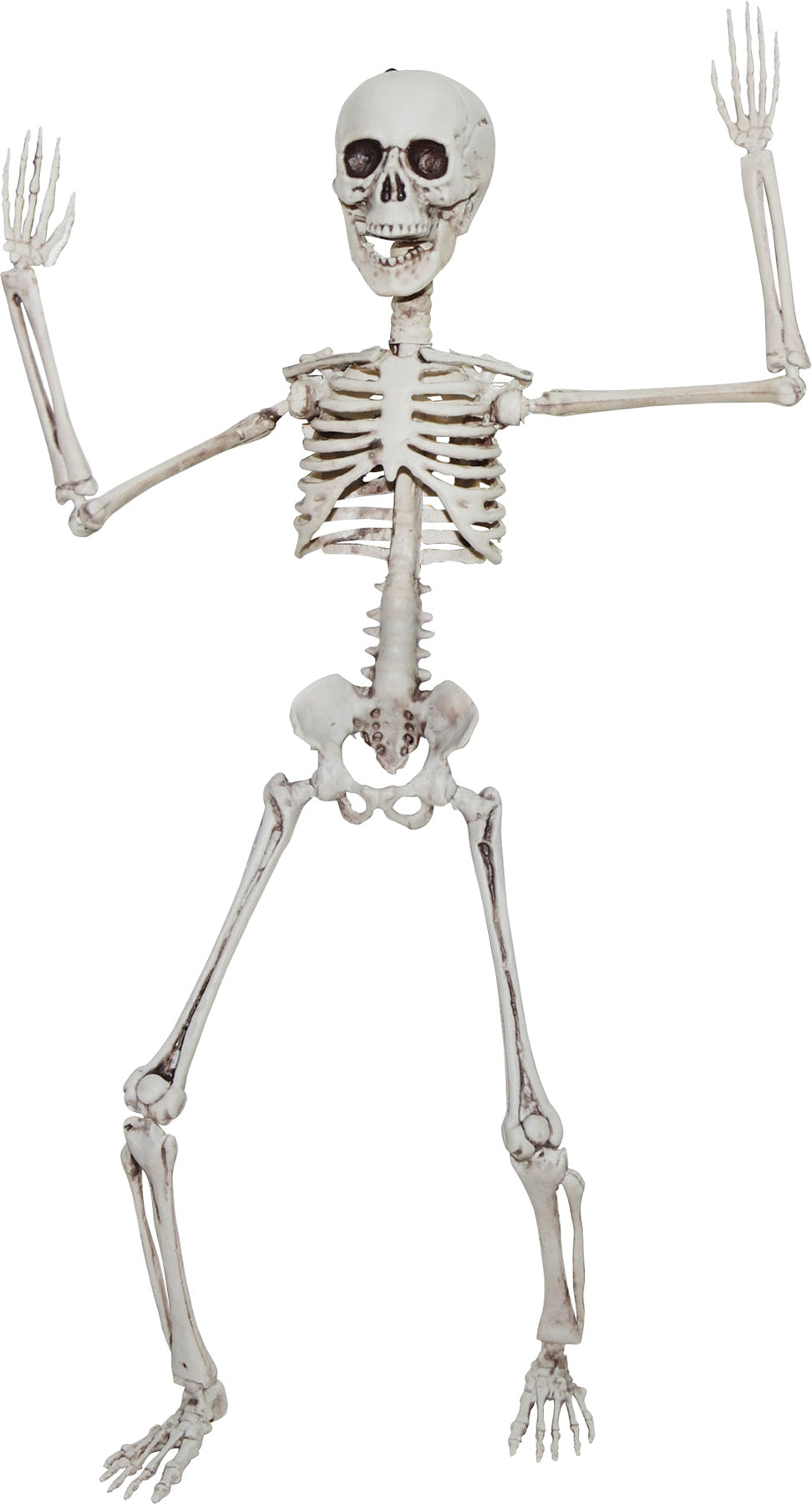 20" Poseable Skeleton Halloween Skeleton Decorations - Tophatter Daily Deals