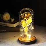 Beauty & The Beast Eternal Red Rose In Glass Dome with LED Lights Gold Flowers - Tophatter Daily Deals