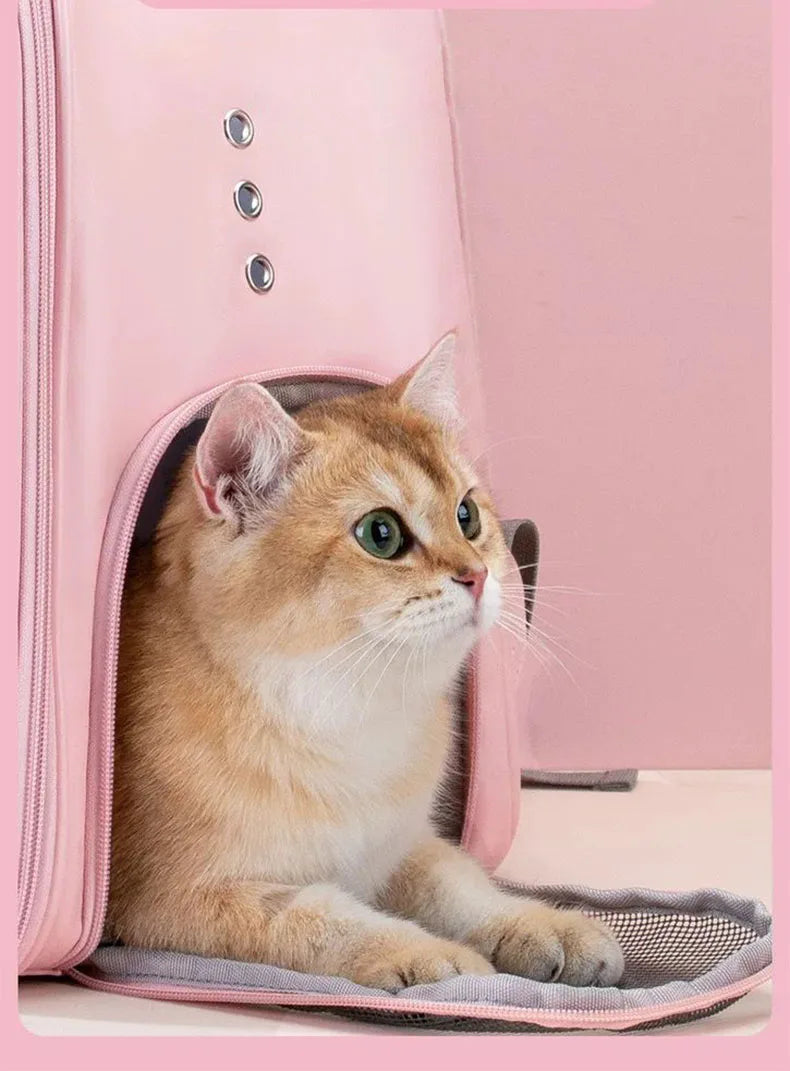 Hello Kitty Window Breathable Travel Bag Pet Small Dog Cat Carrier Backpack Animals - Tophatter Daily Deals