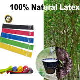 Resistance Bands Set TPE Workout Bands Home Fitness - Tophatter Daily Deals