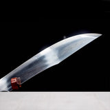 Scroll Grass Pattern Wrapped Sabre - Tophatter Daily Deals