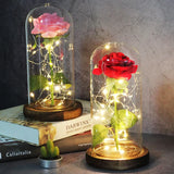 Beauty & The Beast Eternal Red Rose In Glass Dome with LED Lights Flowers - Tophatter Daily Deals
