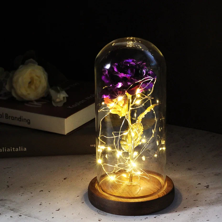 Beauty & The Beast Eternal Red Rose In Glass Dome with LED Lights Violet Flowers - Tophatter Daily Deals