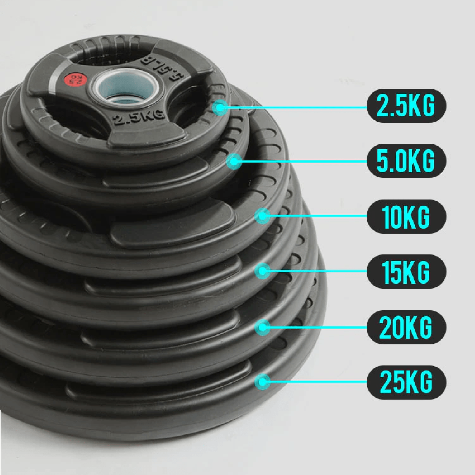 Weight Plates Set - Cast Iron 2" Hole Disc Dumbbell Olympic Barbell Weights Pair Exercise & Fitness - Tophatter Daily Deals