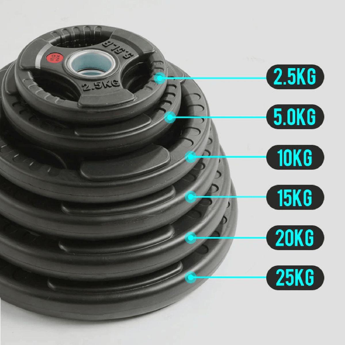 Weight Plates Set - Cast Iron 2" Hole Disc Dumbbell Olympic Barbell Weights Pair Exercise & Fitness - Tophatter Daily Deals