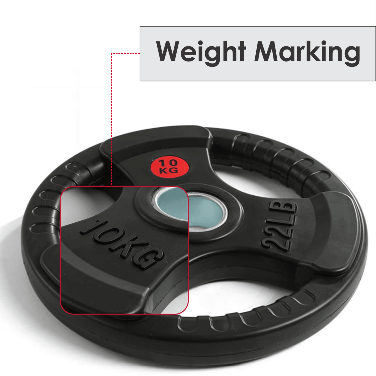 Weight Plates Set - Cast Iron 2" Hole Disc Dumbbell Olympic Barbell Weights Pair Exercise & Fitness - Tophatter Daily Deals