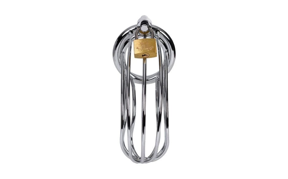 Silver Metal Birdcage Cock Cage Chastity Device > Bondage Gear > Male Chastity - Tophatter Daily Deals