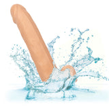 Size Queen 8 Inch Realistic Dong in Ivory > Dildos > Realistic Dildos - Tophatter Daily Deals