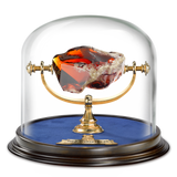 Harry Potter - Philosopher's Stone Display Case