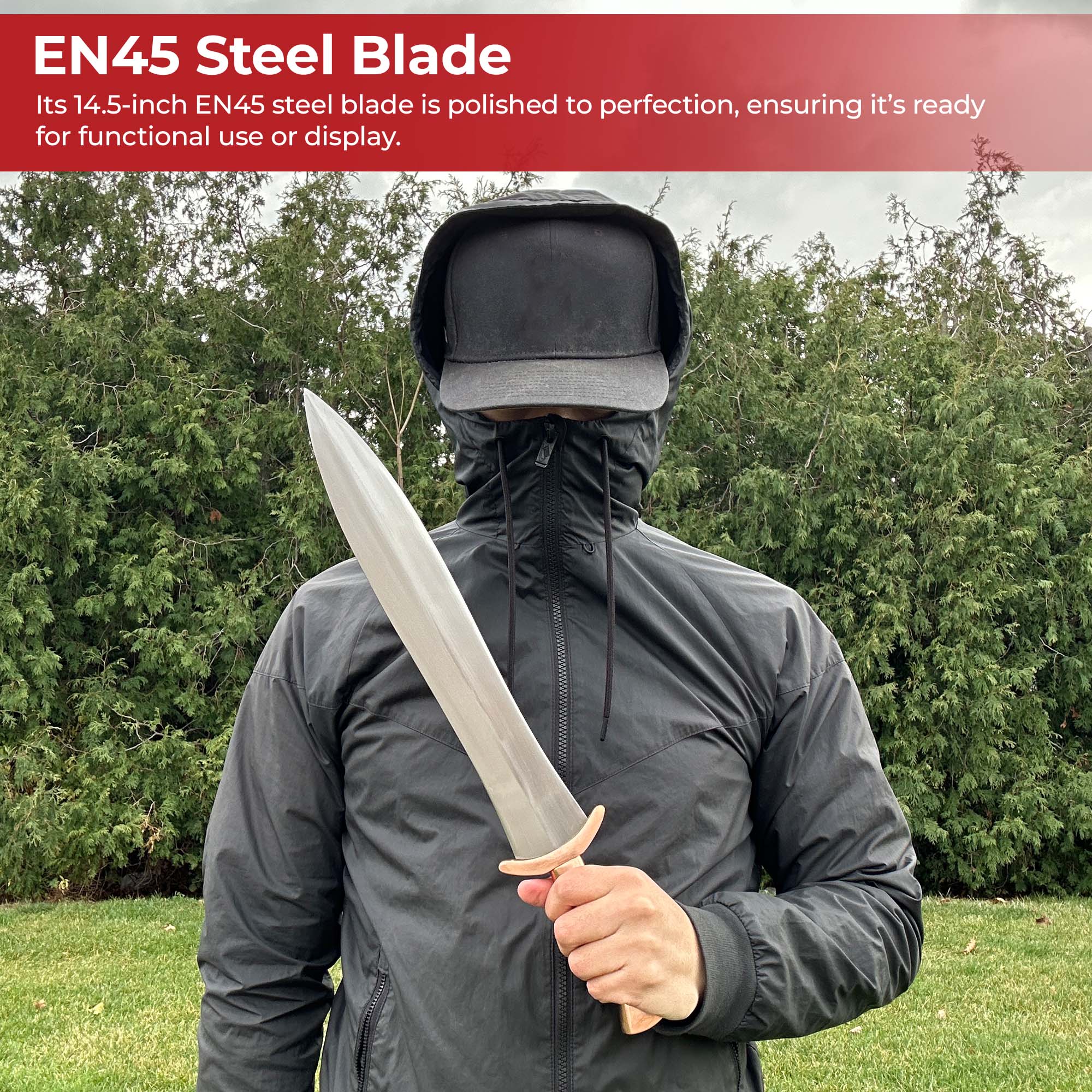 Spartan Lakonia Short Sword Swords - Tophatter Daily Deals