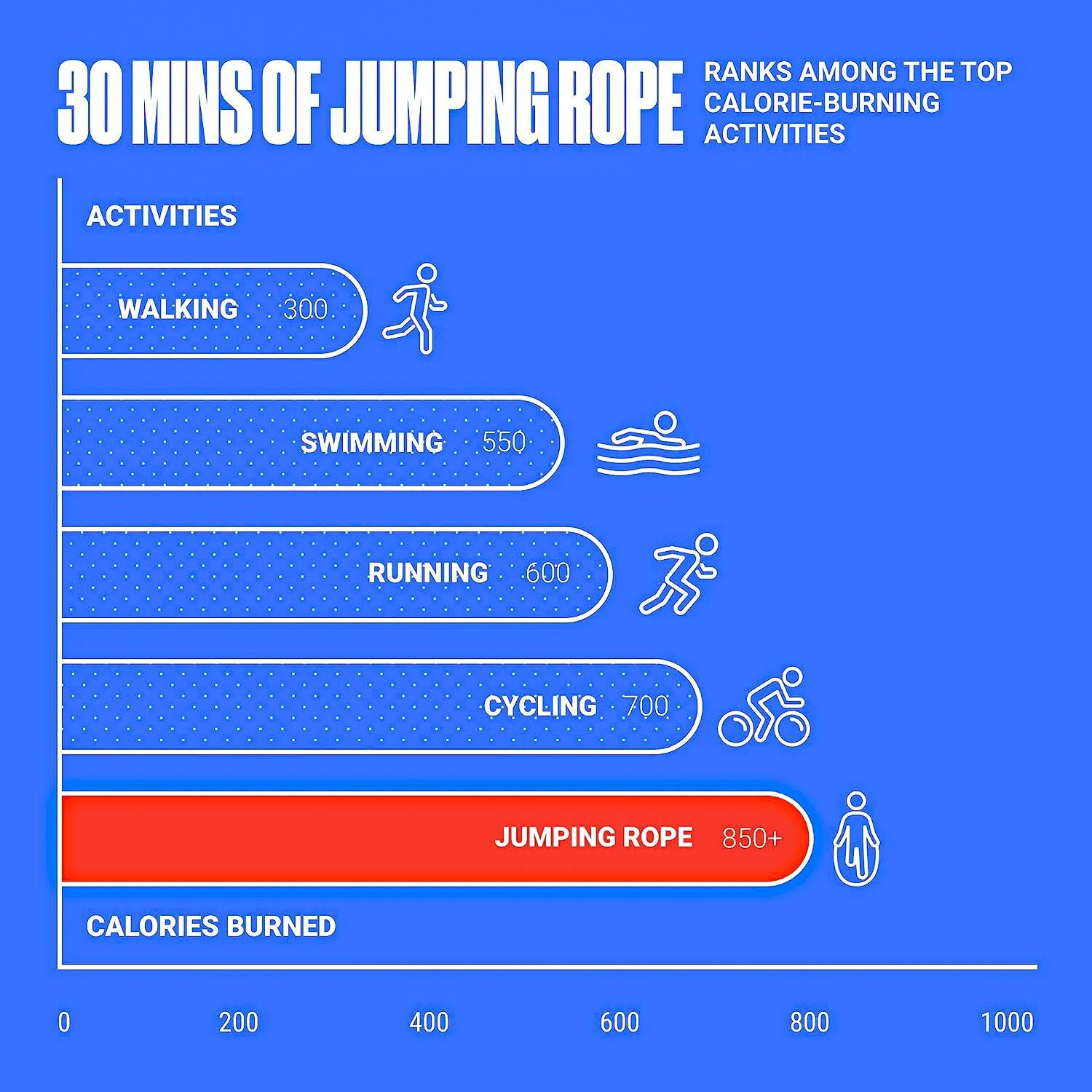 Best Skipping Ropes for Weight Loss - Skipping Rope Jump Speed Exercise Adult Kids Crossfit Exercise & Fitness - Tophatter Daily Deals