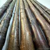 Rare Irish Blackthorn Collector's Cane | Customizable Handle Options Irish Blackthorn Canes - Tophatter Daily Deals