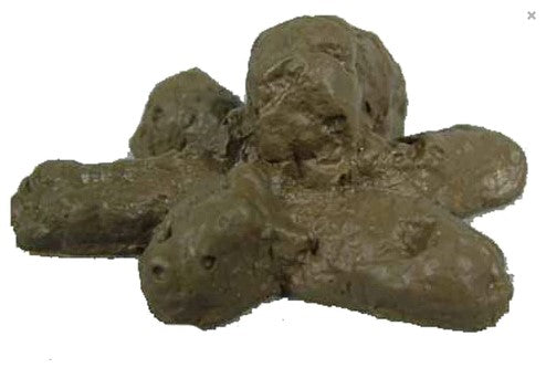 FAKE PILE SOFT POO DOG POOP - Tophatter Daily Deals