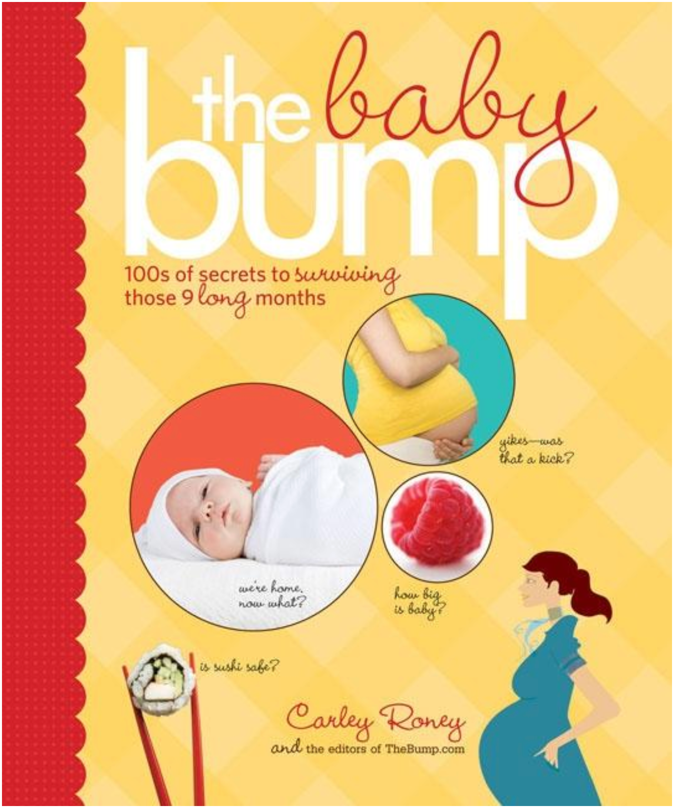 The Baby Bump: 100s of Secrets to Surviving Those 9 Long Months Books - Tophatter Daily Deals