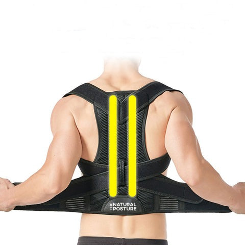 Complete Back Care Support Brace for Posture Correction Health & Wellness - Tophatter Daily Deals