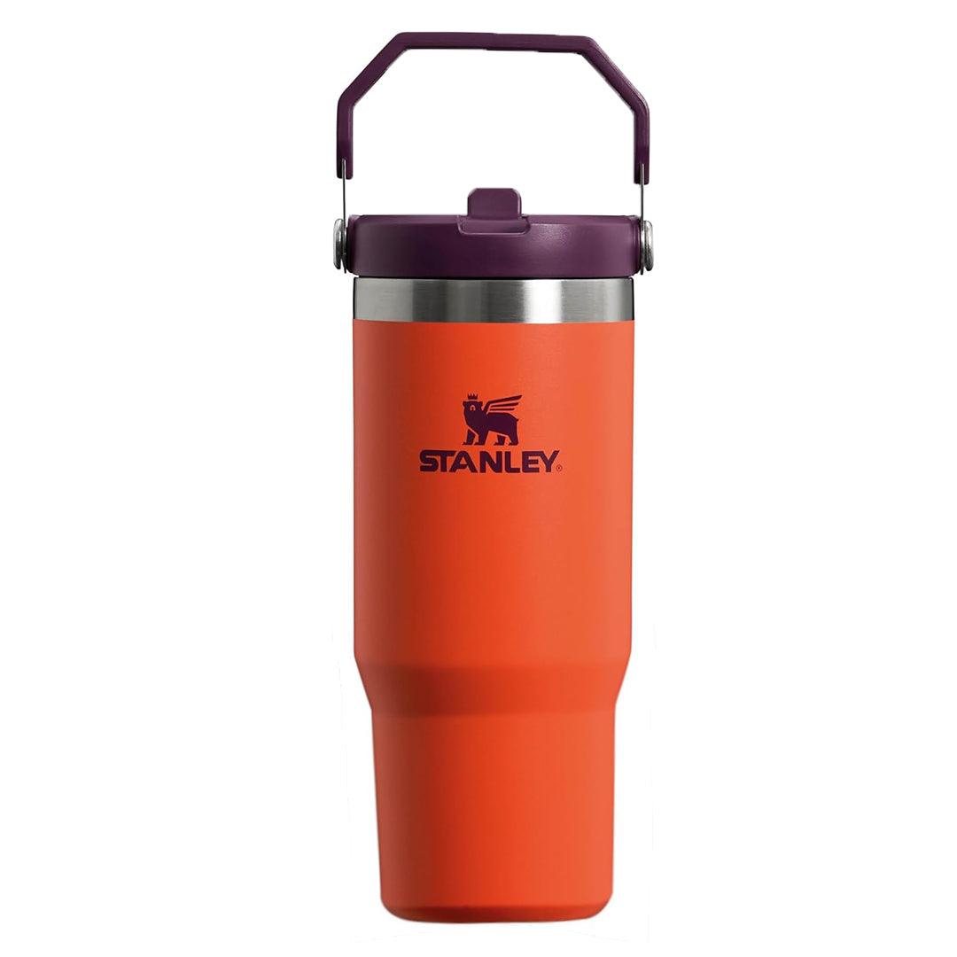 Insulated Straw Tumbler - 30-40 OZ Stanley Quencher H2.0 Tumbler Handle Straw Insulated Bottle Cup Mug Travel Mug for Cold or Hot Drinks Love Shack Fancy 30 OZ (0.89L) Tigerlily Plum bottles - Tophatter Daily Deals