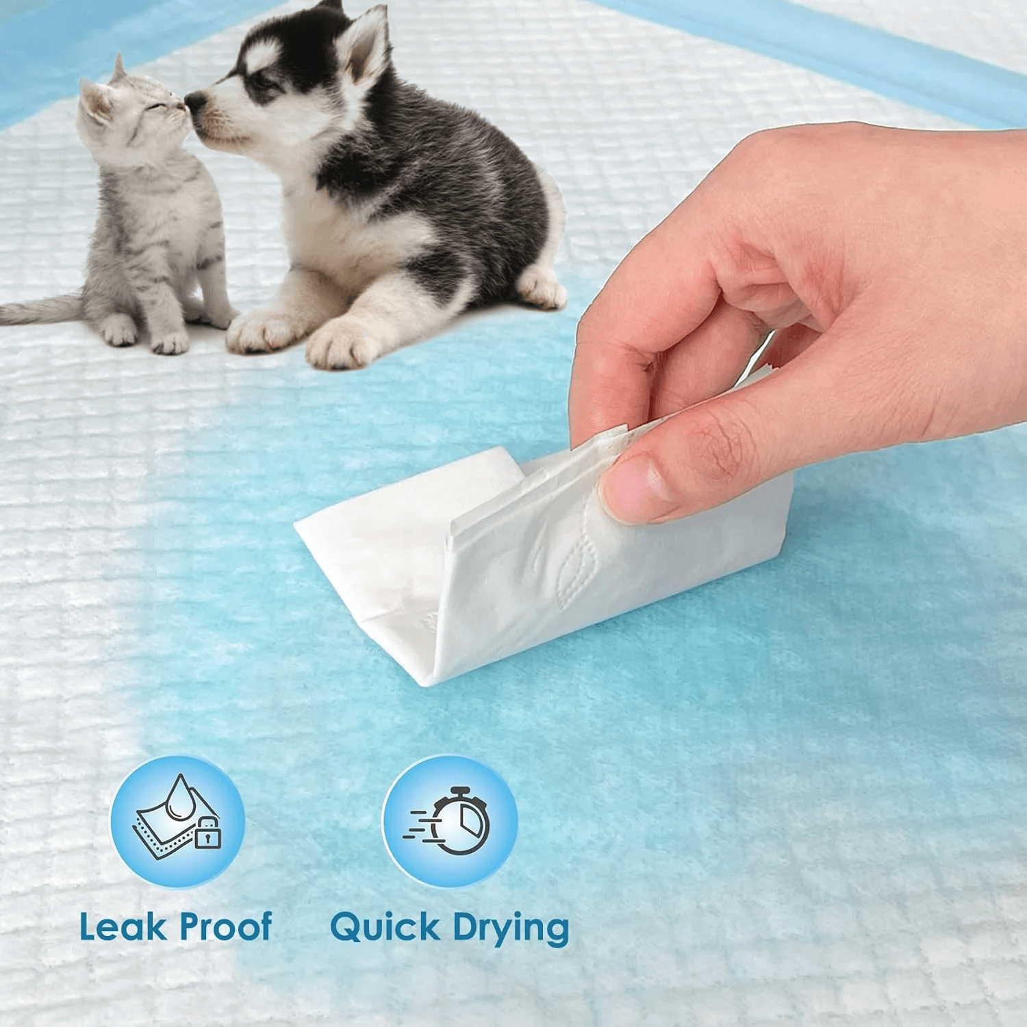 Pet Toilet Training Pads – 100pcs Super Absorbent Puppy Masts for Indoor & Outdoor Use Pads - Tophatter Daily Deals