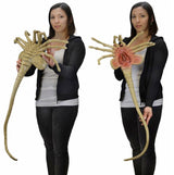 Aliens - Official Life Size Facehugger Prop Replica Prop Replica - Tophatter Daily Deals