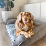PupChill™ Cooling Bolster Dog Bed Pet Beds - Tophatter Daily Deals