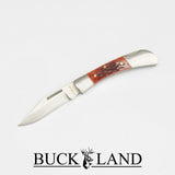 Buckland "The Rancher" Cow Bone Handle Locking Folding Knife Folding Knife - Tophatter Daily Deals
