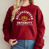 Vintage Halloweentown Sweatshirt Halloweentown Est 1998 Pullover Funny Other - Tophatter Daily Deals