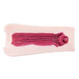 Virgin Devil Girl Pleasure Demon Infinity Masturbator > Sex Toys For Men > Masturbators > Onahole - Tophatter Daily Deals