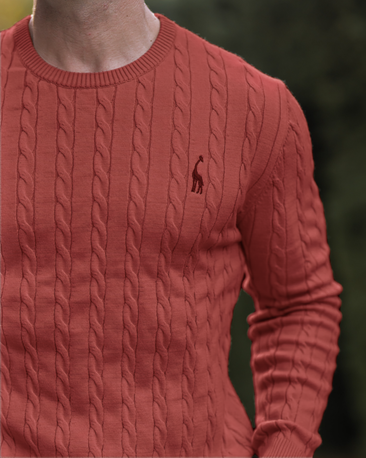 Soft Timeless Men's Cable Knit Sweater - Crewneck, Cotton Rust brown - Tophatter Daily Deals