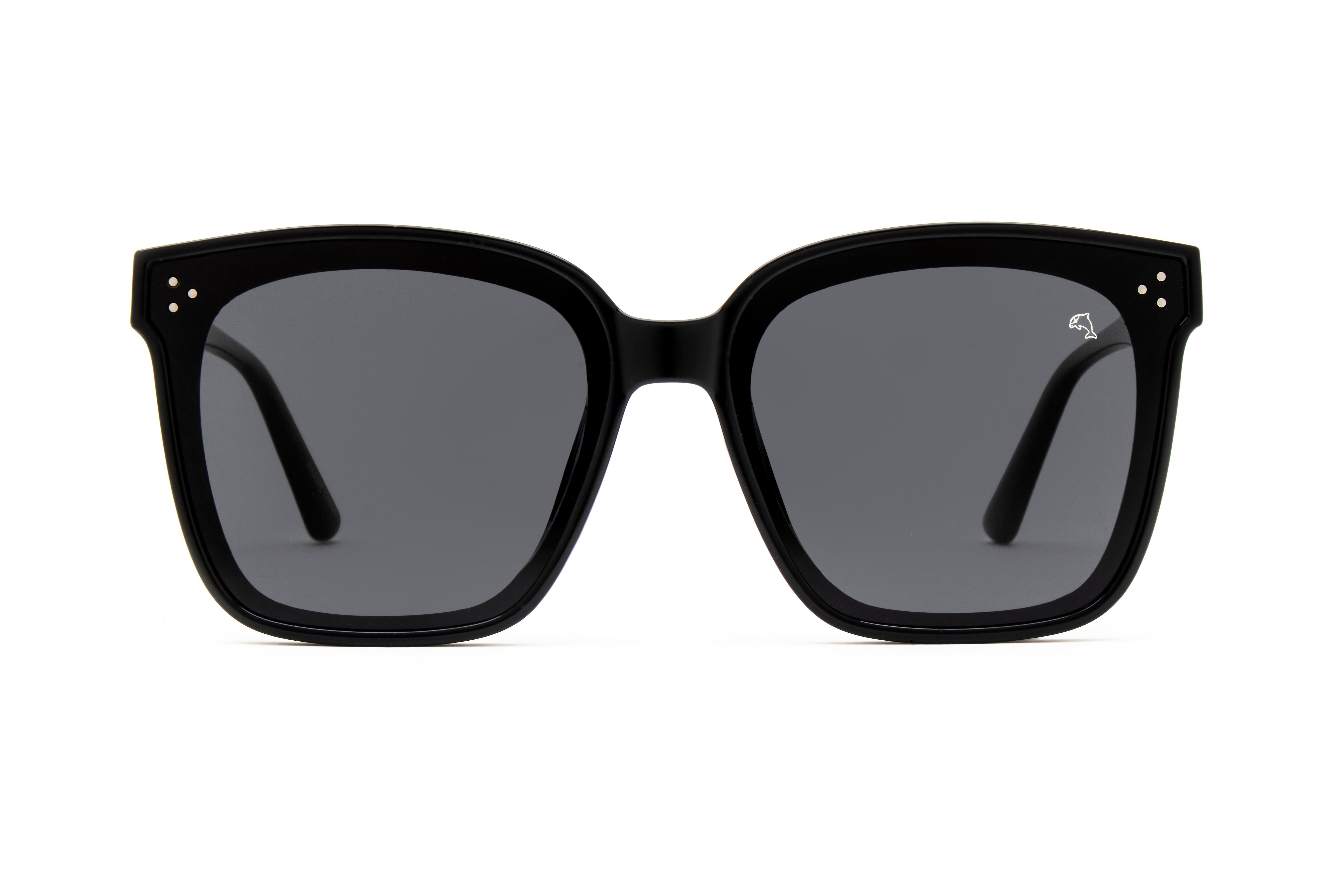 Biscayners Warren Black Sunglasses Sunglasses - Tophatter Daily Deals