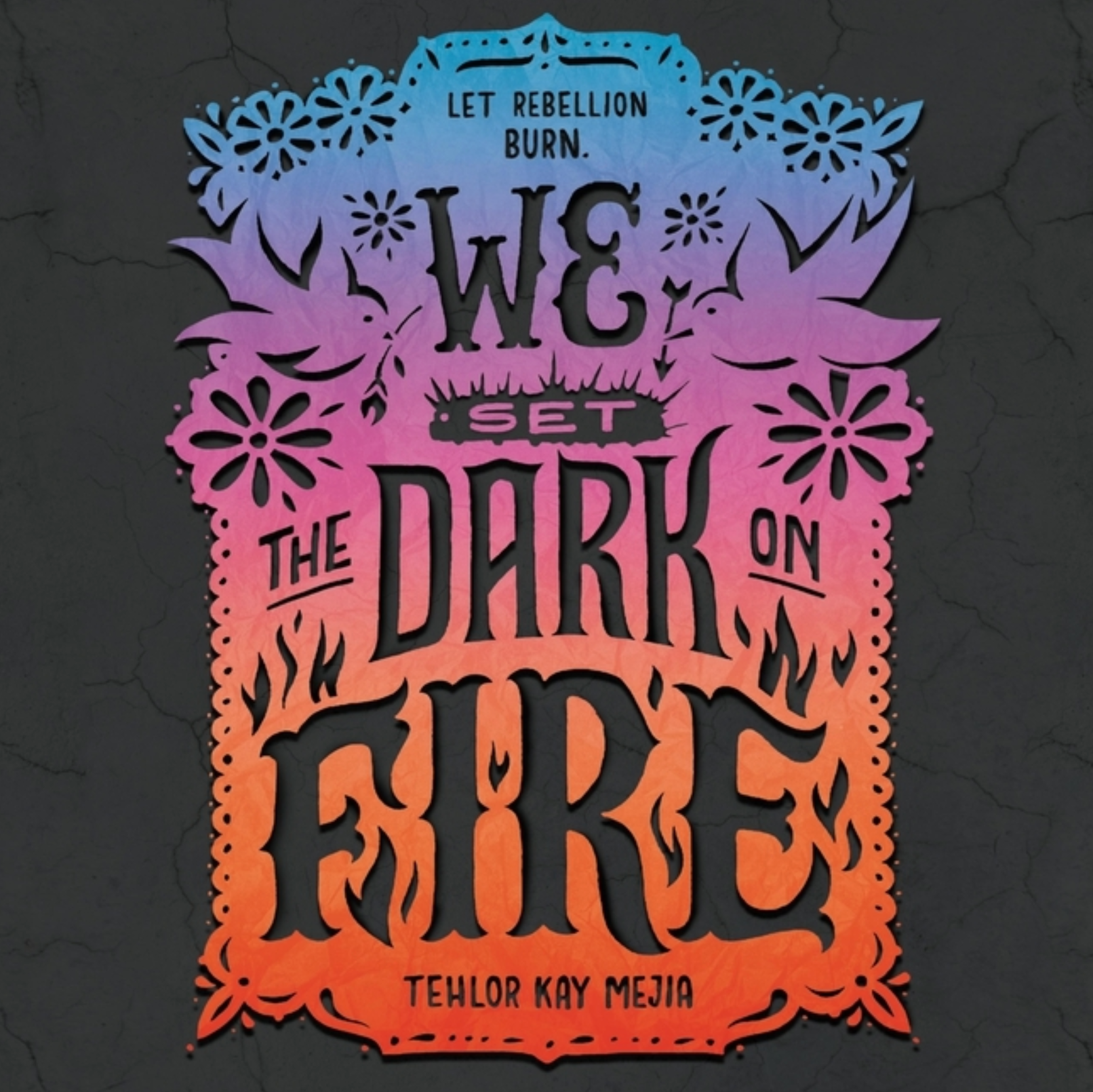 We Set the Dark on Fire Audiobook Books - Tophatter Daily Deals