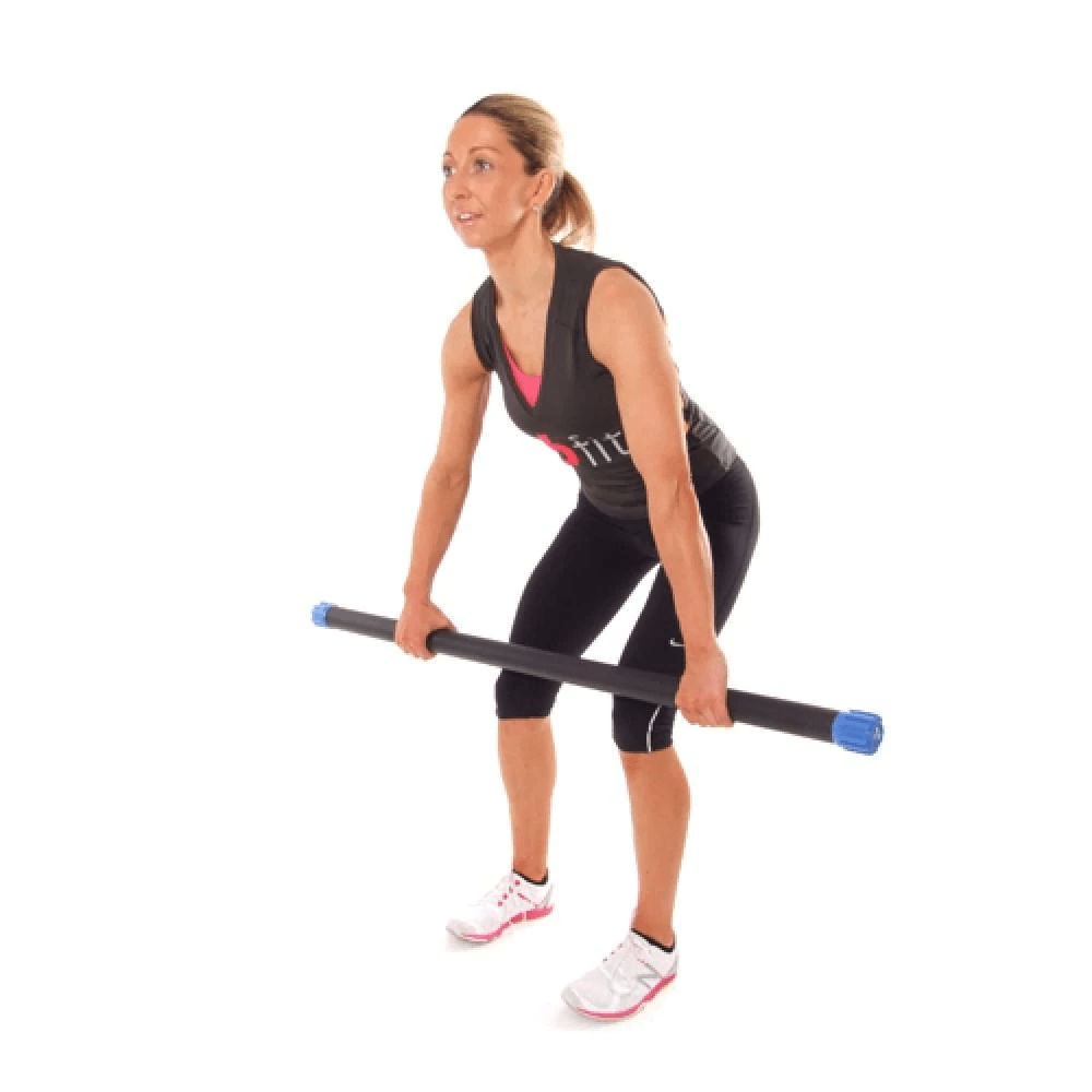 Aerobic Weight Bars - 66fit Aerobic Weighted Exercise Bars Exercise & Fitness - Tophatter Daily Deals