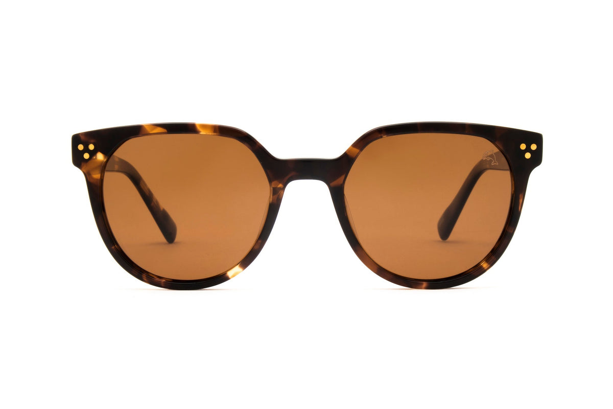 Biscayners Westwood Tortoise Women's Sunglasses Sunglasses - Tophatter Daily Deals
