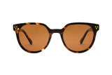 Biscayners Westwood Tortoise Women's Sunglasses Sunglasses - Tophatter Daily Deals