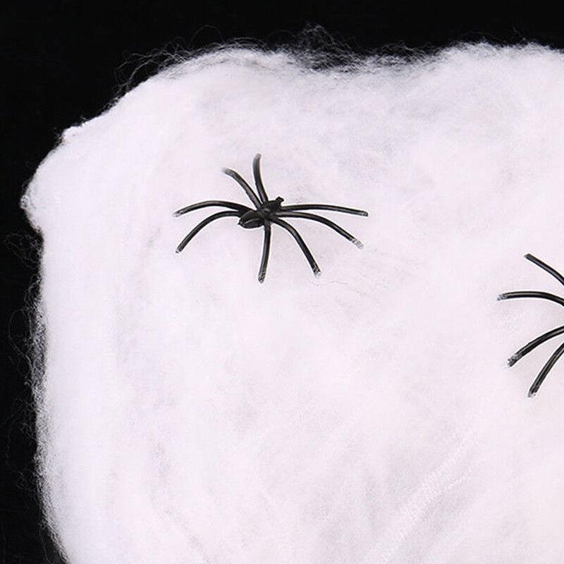 Halloween Spider Webbing - Halloween Decoration Spider Web Spiders Stretchable Cobweb White Festive & Franchise - Tophatter Daily Deals