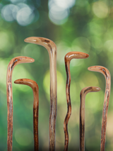 Natural Wild Wood Root Cane - Handcrafted, Unique, 36 Walking Stick - Tophatter Daily Deals