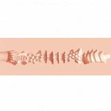 XKIN Secret Affairs Nicolette – 14 cm Vagina Stroker > Sex Toys For Men > Masturbators > Manual - Tophatter Daily Deals