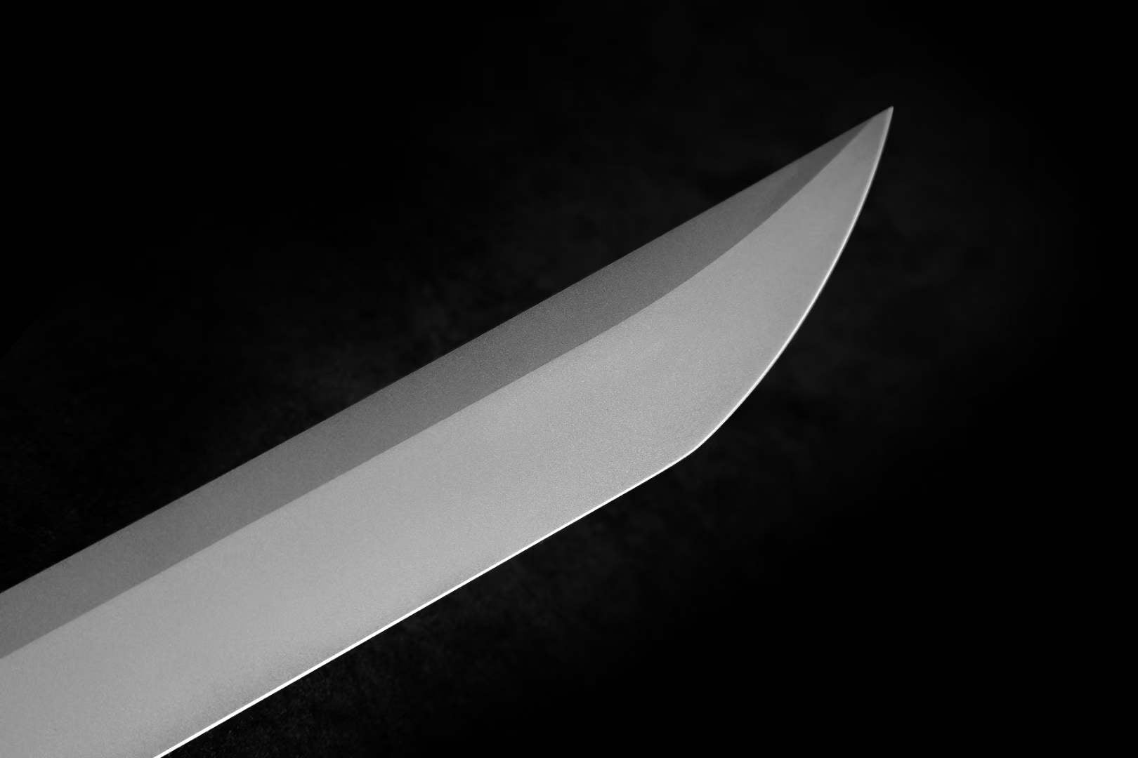 XYT Thunder Sword - Ink Beast - Tophatter Daily Deals