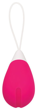 Evolved Remote Control Egg 2.5 Inch Vibrator > Sex Toys For Ladies > Vibrating Eggs - Tophatter Daily Deals