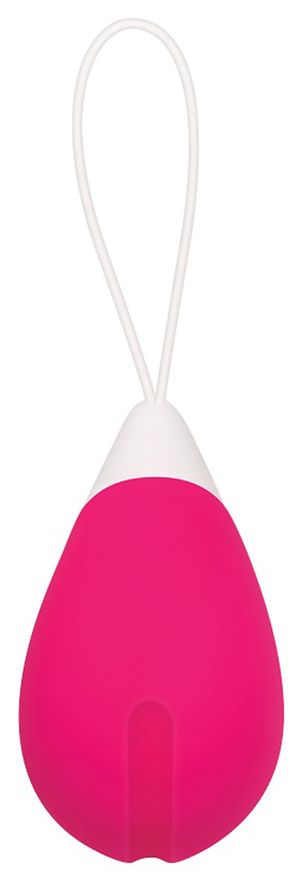 Evolved Remote Control Egg 2.5 Inch Vibrator > Sex Toys For Ladies > Vibrating Eggs - Tophatter Daily Deals