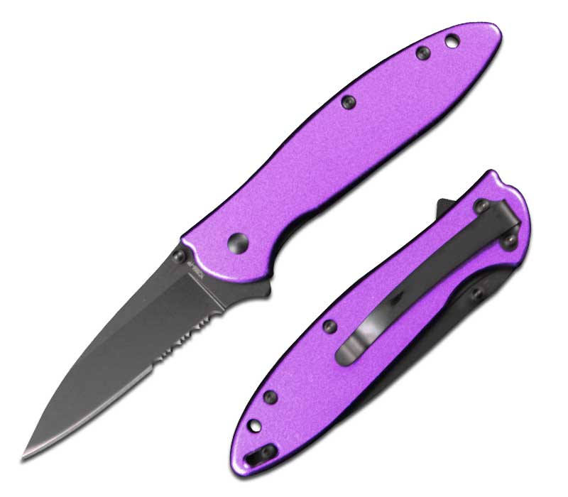 4 Inch Closed Purple Executive Style Assisted Opening Pocket Knife Collectible Weapons - Tophatter Daily Deals