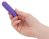 Essential 3 Inch Bullet Vibrator Purple with Storage Case and Charging Cord > Vibrators > Mini Vibrators - Tophatter Daily Deals